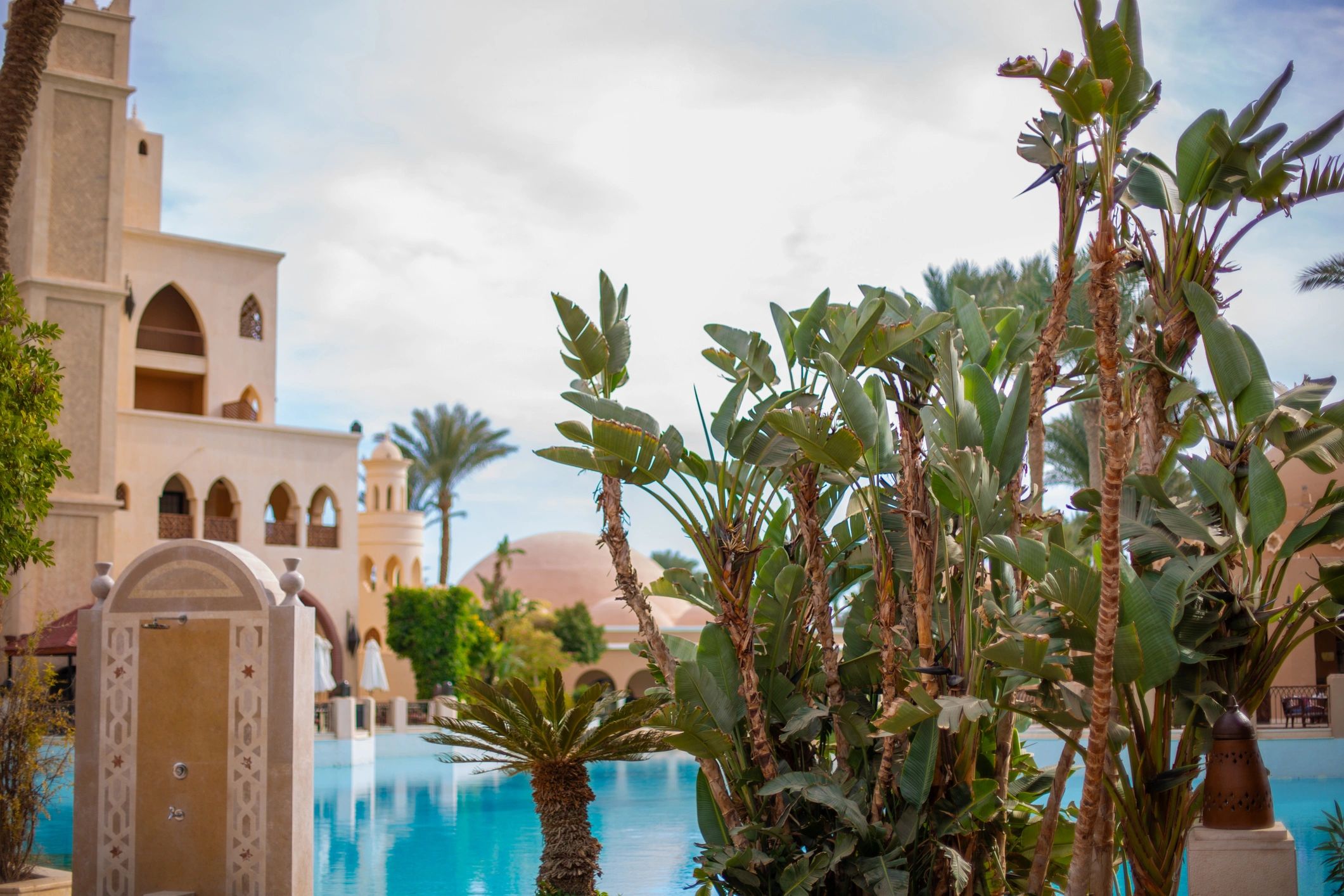 Tropical pool and garden area